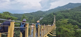 거창월성계곡(용암정ㆍ수승대ㆍ출렁다리ㆍ유등지) 2025.7.13일 - 일반산행 - 신가팔환초 거창월성계곡(용암정ㆍ수승대ㆍ출렁다리... 