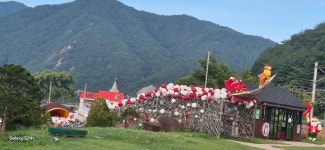 분천산타마을 2025.8.17일 - 일반산행 - 신가팔환초 분천산타마을 2025.8.17일