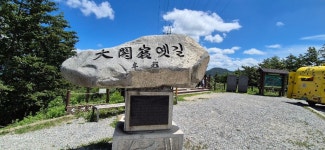 선자령ㆍ묵호항ㆍ봉화분천마을 2025.8.16일 - 일반산행 - 신가팔환초 선자령ㆍ묵호항ㆍ봉화분천마을 2025.8.16일