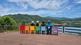 부항댐한바퀴ㆍ지례흑돼지(점심) .우포늪출렁다리 2025.6.22일 - 일반산행 - 신가팔환초 부항댐한바퀴ㆍ지례흑돼지(점심)... 