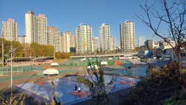 허밍웨이길, 피천득산책로 및 서리풀공원길 산책＜2023.11.20(월)＞ - 걷기운동 - 광주동중13회동창회 