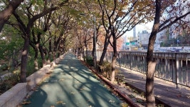 허밍웨이길, 피천득산책로 및 서리풀공원길 산책＜2023.11.20(월)＞ - 걷기운동 - 광주동중13회동창회 