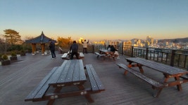 허밍웨이길, 피천득산책로 및 서리풀공원길 산책＜2023.11.20(월)＞ - 걷기운동 - 광주동중13회동창회 