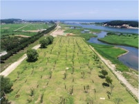 강원도 양양파크골프장 탐방 일정(계획)＜2023.11.20(월)＞ - 여행 실적 및 추천 자료 - 광주동중13회동창회 