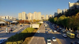 허밍웨이길, 피천득산책로 및 서리풀공원길 산책＜2023.11.20(월)＞ - 걷기운동 - 광주동중13회동창회 