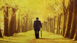 허밍웨이길, 피천득산책로 및 서리풀공원길 산책＜2023.11.20(월)＞ - 걷기운동 - 광주동중13회동창회 