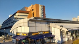 허밍웨이길, 피천득산책로 및 서리풀공원길 산책＜2023.11.20(월)＞ - 걷기운동 - 광주동중13회동창회 