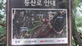 2720산우들과 아차산 등산로 산책＜2025.07.20(일)＞ - 걷기운동 - 광주동중13회동창회 