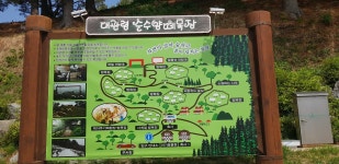 ⑥ 평창 대관령 순수양떼목장에서＜2022.05.28(토)＞ - 우리들의 이야기 - 八光友會 