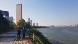 "한강변의 '걷기편한 녹색길'(동작역~여의나루) 걷기"＜2021.10.23(토)＞ - 우리들의 이야기 - 八光友會 