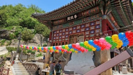수산회(水山會) 52회 북한산자락길 산책＜2024.05.01(수)＞ - 걷기운동 - 광주동중13회동창회 