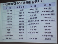 샤인머스켓 - 흥부골 아영포도 농원 - 흥부골아영포도판매장 샤인머스켓
