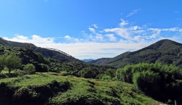제136차 충남 보령 오서산(11월 16일) 정기산행 - • ―정기산행안내♡접수 - 진천 다모아산악회 진천 다모아산악회