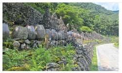 제133차 강원도 정선군 항골계곡 숨바우길 8월 17일(셋째주 일요일) 접수 - • ―정기산행안내♡접수 - 진천 다모아산악회 진천 다모아산악회