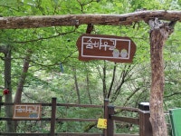 항골계곡/25년 8월 - • ―···정기산행사진앨범2 - 진천 다모아산악회 진천 다모아산악회