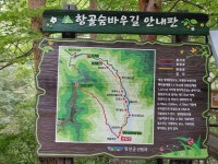 항골계곡/25년 8월 - • ―···정기산행사진앨범2 - 진천 다모아산악회 진천 다모아산악회