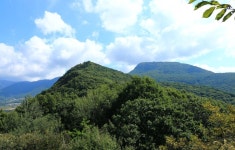 제125차 경북 문경 봉명산(12월 15일) 송년산행 접수 - • ―정기산행안내♡접수 - 진천 다모아산악회 진천 다모아산악회