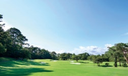 SHIZUOKA COUNTRY-SIhMADA COURSE[일본 시즈오카현] - 일본 - tom golf가 함께하는 골프의 모든것 SHIZUOKA COUNTRY-SIhMADA COURSE... 