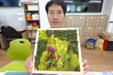 장애인 정서돌봄 원예교실 - 서대구주간보호센터 8월 05일 - 원예 in 마음 : 장애인 정서 돌봄 원예교실 7회차(스칸디아모스 여름 액자 만들기)