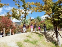 시원한 가을바람 느끼며 즐거운 숲수업 했어요^^ - 푸른하늘반 - 병영선교어린이집 시원한 가을바람 느끼며 즐거운 숲수업 했어요^^