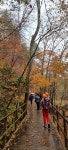 오대산 - 주안산행앨범 - 인천주안산악회 오대산