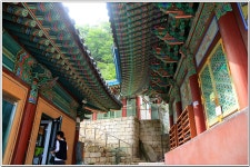 사패산-도봉산(원각사-사패산-포대능선-Y계곡-도봉산(신선대)-마당바위-도봉탐방지원센터) : 2026. 6. 27. - 58 산우회 - 58 마당 사패산... 
