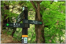 경주 토함산 & 불국사 : 2026. 4. 19. 58번개산행 - 58 산우회 - 58 마당 경주 토함산 & 불국사 : 2026. 4. 19. 58번개산행
