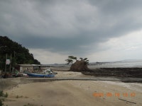 서해랑길 28차(58 + 57코스일부, 춘장대해변~선도리갯벌체험마을... 28차(58 + 57코스일부, 춘장대해변~선도리갯벌체험마을~해창버스정류장)