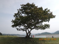 서해랑길 26차(62-1+61+60코스, 하만3리정류장~충청수영성~깊은골~신흑7통회관) - 서해랑길(35) - kys 나홀로 산행 서해랑길 26차(62-1+61... 