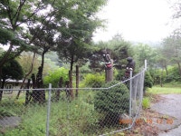 평화누리길 16차(구운교사거리~만산령~명월3리삼거리) - 평화의 길(26... kys 나홀로 산행 평화누리길 16차(구운교사거리~만산령~명월3리삼거리)