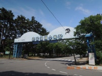 서해랑길 28차(58 + 57코스일부, 춘장대해변~선도리갯벌체험마을... 28차(58 + 57코스일부, 춘장대해변~선도리갯벌체험마을~해창버스정류장)