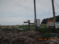 서해랑길 28차(58 + 57코스일부, 춘장대해변~선도리갯벌체험마을... 28차(58 + 57코스일부, 춘장대해변~선도리갯벌체험마을~해창버스정류장)