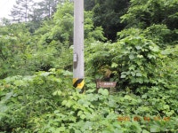 평화누리길 16차(구운교사거리~만산령~명월3리삼거리) - 평화의 길(26... kys 나홀로 산행 평화누리길 16차(구운교사거리~만산령~명월3리삼거리)