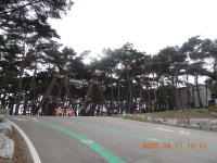 서해랑길 35차(47-1+46코스, 고사포해수욕장~닭이봉입구~모항) - 서해랑길(67, 終了) - kys 나홀로 산행 서해랑길 35차(47-1+46코스... 