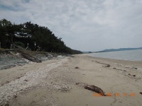 서해랑길 28차(58 + 57코스일부, 춘장대해변~선도리갯벌체험마을... 28차(58 + 57코스일부, 춘장대해변~선도리갯벌체험마을~해창버스정류장)