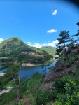 금산 월영산 출렁다리 - 카페 앨범 - 창원 솔뫼산악회 금산 월영산 출렁다리