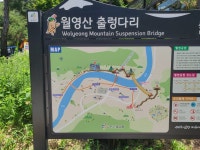 금산 월영산 출렁다리 - 카페 앨범 - 창원 솔뫼산악회 금산 월영산 출렁다리