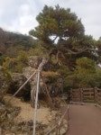 경천대 산행 - 카페 앨범 - 창원 솔뫼산악회 경천대 산행