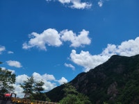 금산 월영산 출렁다리 - 카페 앨범 - 창원 솔뫼산악회 금산 월영산 출렁다리