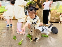 쥬벅스 앤 쥬니멀 - 햇살반 - 쥬벅스 앤 쥬니멀 - 간석초어린이집 쥬벅스 앤 쥬니멀 - 햇살반