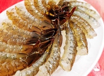 제주 서귀포 맛집 자꾸 생각나서 다시 가게 되는 그곳 - 제주도맛집 - [제주선일] 제주도 여행 관광 여행코스 숙소 정보 가득 카페 제주 서귀포 맛집... 