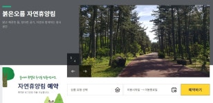 붉은오름 자연휴양림 크리스마스 트리만들기 체험 - 제주도축제_공연... 숙소 정보 가득 카페 붉은오름 자연휴양림 크리스마스 트리만들기 체험