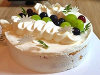 파리바게트 샤인머스켓 들어간 과일 케이크 - 일상생활정보 - [제주선일] 제주도 여행 관광 여행코스 숙소 정보 가득 카페 파리바게트 샤인머스켓... 