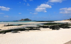 3월 제주도 2박3일 여행코스 따뜻한 봄을 느끼며 - (구)제주도여행 - [제주선일] 제주도 여행 관광 여행코스 숙소 정보 가득 카페 3월 제주도... 