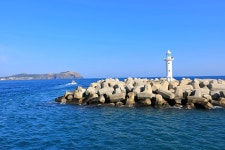 일상생활정보 - [제주선일] 제주도 여행 관광 여행코스 숙소 정보 가득 카페 우도 렌트카 반입 관련 정확한 정보 드립니다 결론은 부분적으로 됩니다