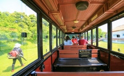 날씨 좋은날 방문하고 싶은 제주도 관광지 에코랜드테마파크 - (구)제주도여행 - [제주선일] 제주도 여행 관광 여행코스 숙소 정보 가득 카페 날씨... 