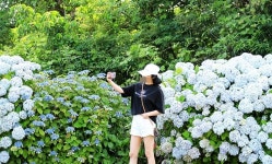 6월 제주도 3박4일 여행코스 핫한 오는정김밥도 먹어볼까요 - 제주도여행코스 - [제주선일] 제주도 여행 관광 여행코스 숙소 정보 가득 카페 6월... 