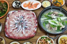 서귀포 방어회 맛집 그래 바로 이거거든요 담백하니 맛있었음 - 제주도맛집 - [제주선일] 제주도 여행 관광 여행코스 숙소 정보 가득 카페 서귀포... 