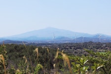 제주 올레길 3코스 맛집과 카페 스탬프 찍는 재미가 2배임 - 제주올레길 - [제주선일] 제주도 여행 관광 여행코스 숙소 정보 가득 카페 제주... 