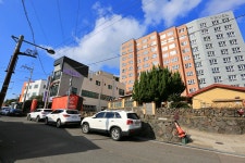 지금 가보면 좋을 여행지 제주 걸매생태공원 근처 맛집도 함께 - 제주도여행지 - [제주선일] 제주도 여행 관광 여행코스 숙소 정보 가득 카페 지금... 